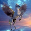 Avatar utilizator