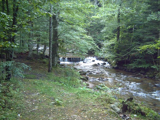 PICT0768 [640x480].JPG