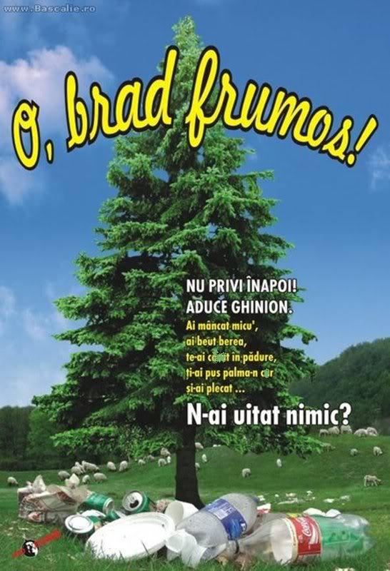 Brad modif.JPG