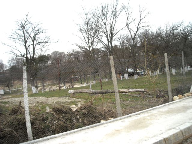 DSCN0792.JPG