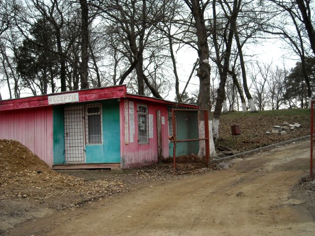 DSCN0796.JPG