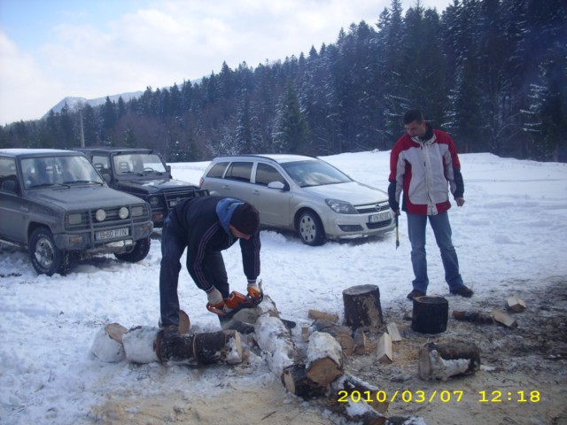 taietorul de lemne in actiune