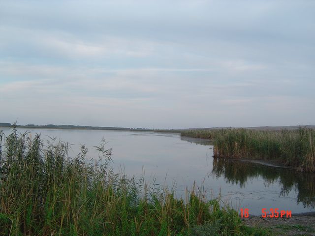 Helesteu4 [640x480].JPG