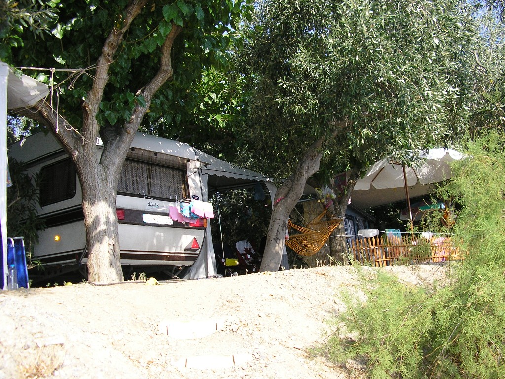 P7233986.JPG