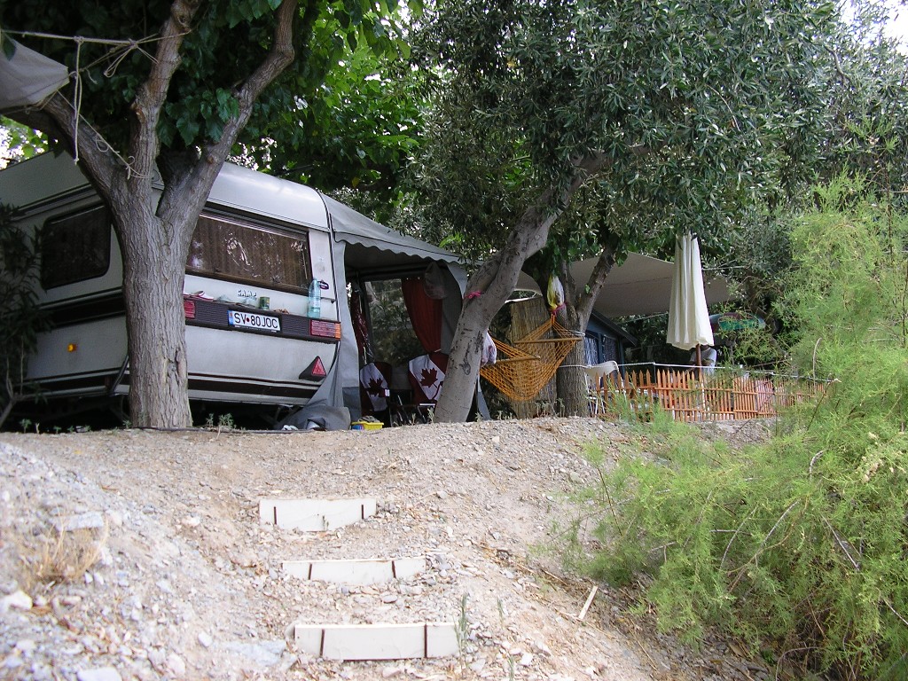 P7133866.JPG