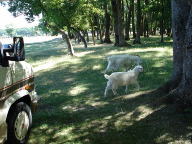 DSC00884 [640x480] [640x480] [640x480].jpg