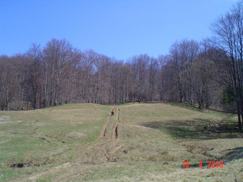 DSC04773.jpg
