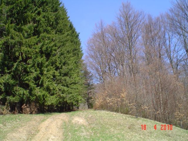DSC04792.jpg