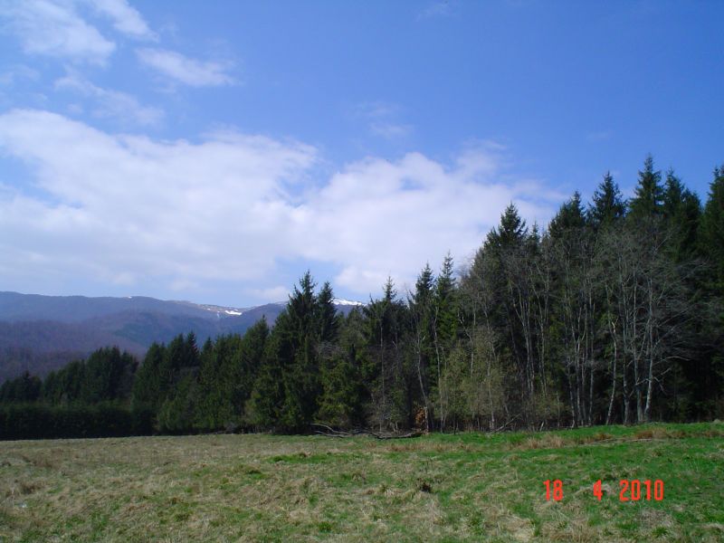 DSC04799.jpg