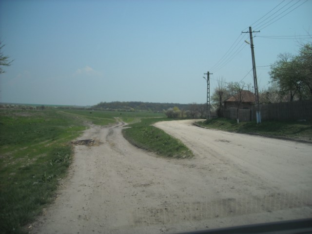 dupa cativa km intrati in Iepuresti, mergeti numai inainte pana la iesire ( o portiune de sosea cam proasta cateva sute de metri) vedeti bifurcatia din imagine si mergeti pe drumul din stanga, va uitati in diagonala si ne vedeti