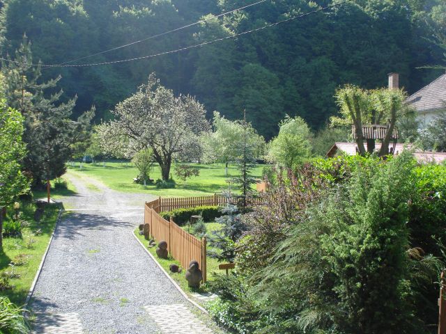 DSC05755.jpg