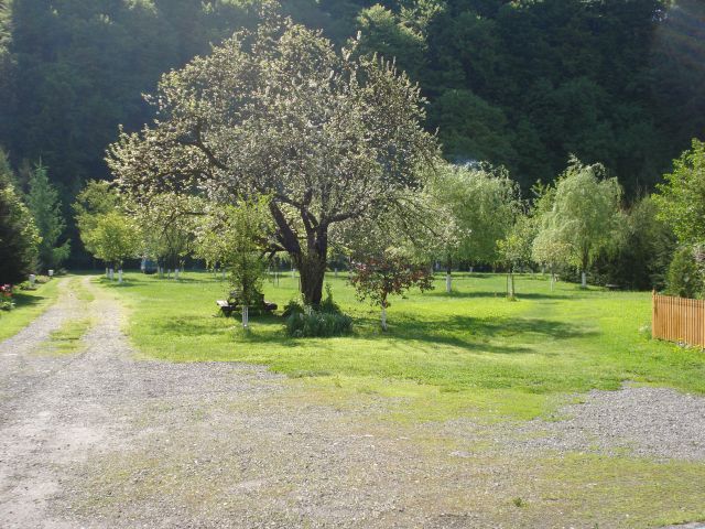 DSC05753.jpg