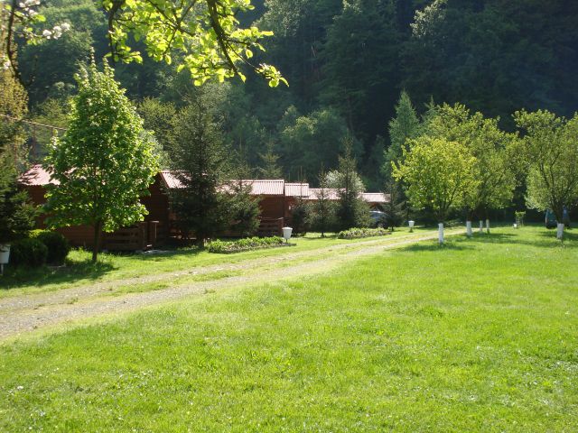 DSC05752.jpg
