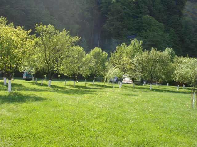 DSC05750.jpg