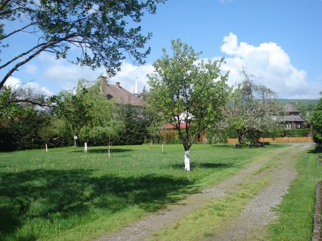 DSC05748.jpg