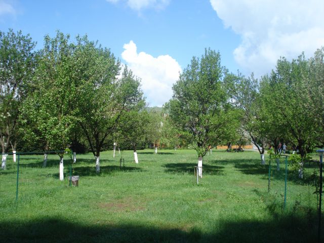 DSC05747.jpg
