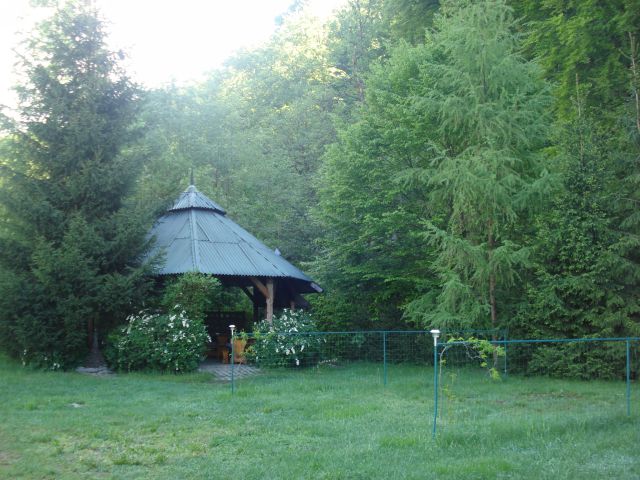 DSC05746.jpg