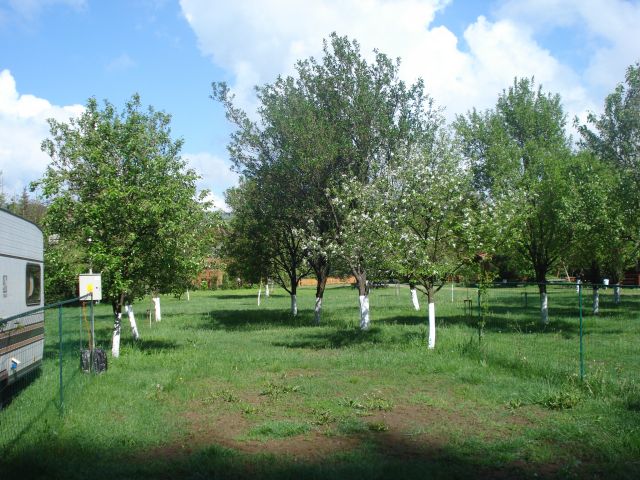 DSC05745.jpg