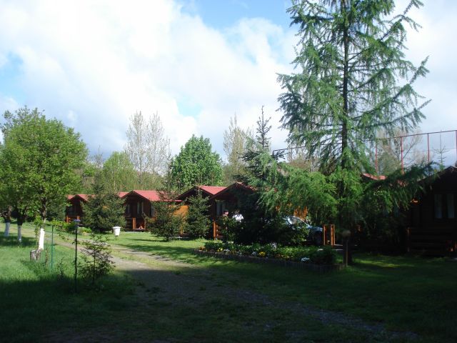 DSC05744.jpg