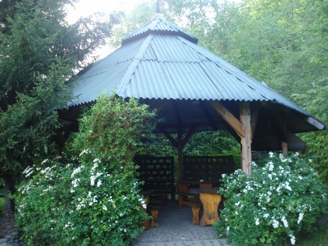 DSC05743.jpg
