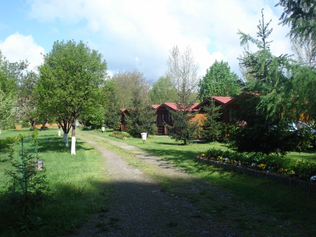 DSC05742.jpg