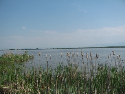 APR_2010 121_new.jpg
