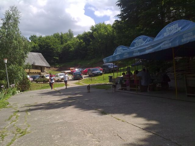 060620101093.jpg