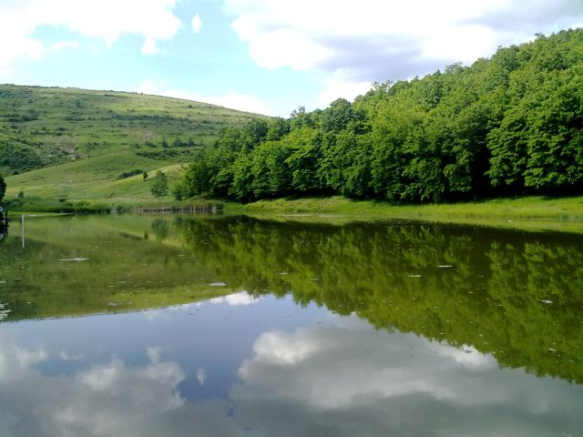 060620101097.jpg