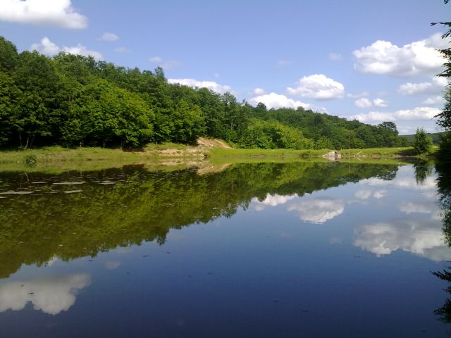 060620101100.jpg