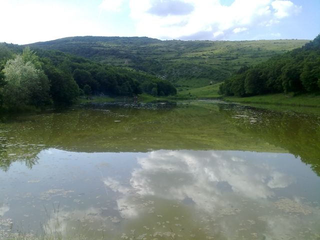 060620101105.jpg