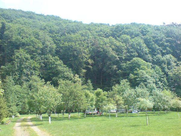 DSC00377.JPG