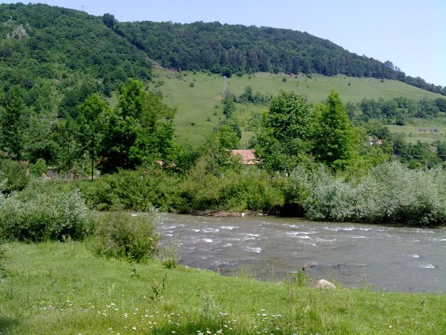 120620101129.jpg