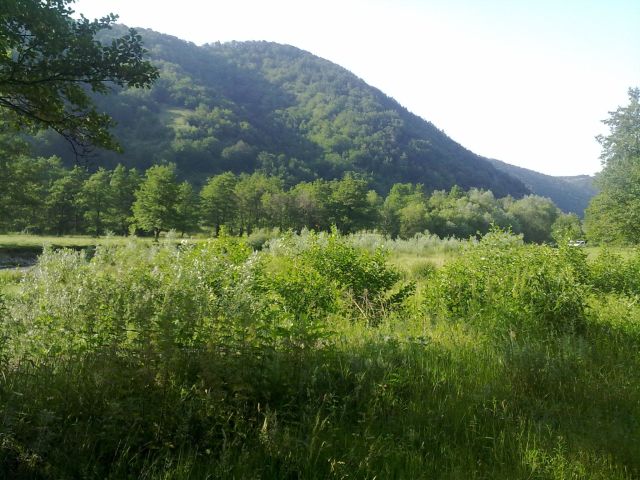 120620101148.jpg