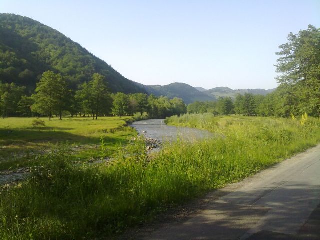 120620101151.jpg
