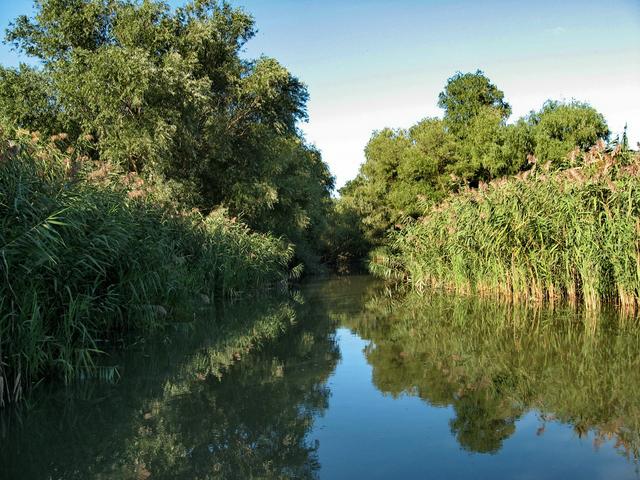 Pe canale