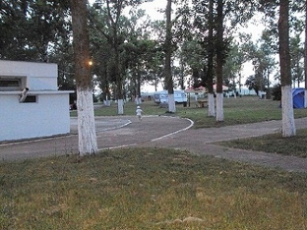 DSC00236.JPG
