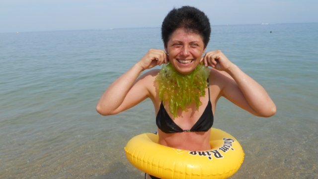 Zana cu barbuta din alge