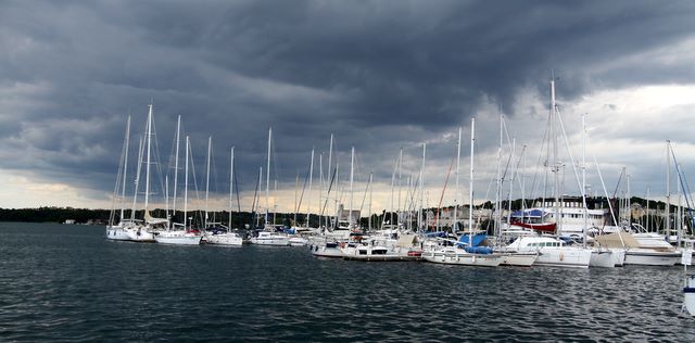 IMG_3108.JPG