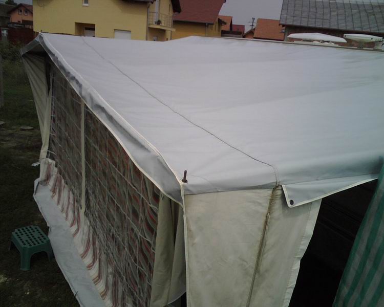 IMG01878.jpg
