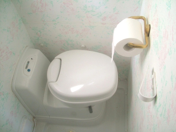wc suport hatie cromat.JPG