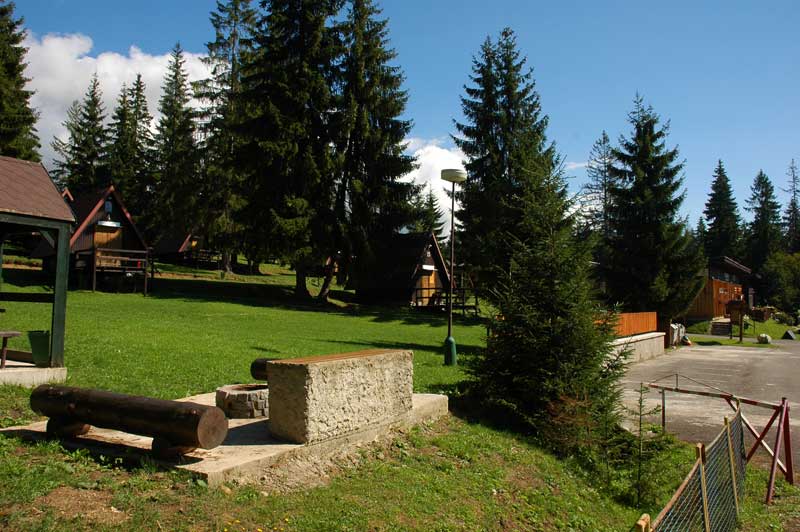 06.jpg