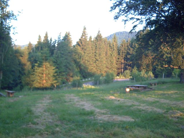 PICT0141 [640x480].JPG