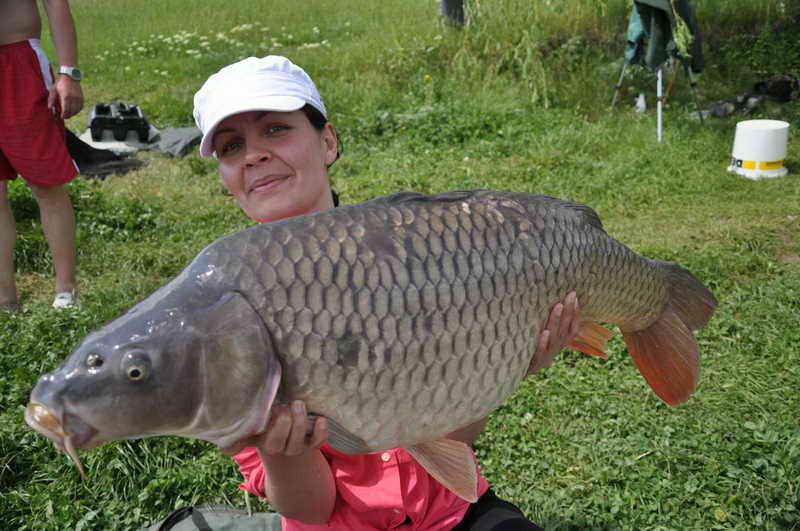 Horgesti 2010 070.jpg