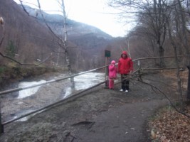 cascada Putnei [320x200].jpg