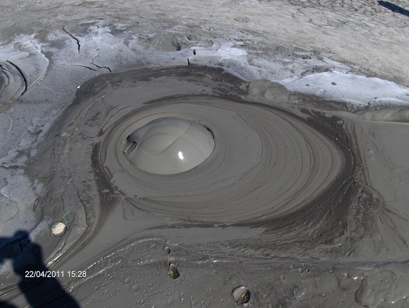 Un bulbuc noroios in formare :-)))