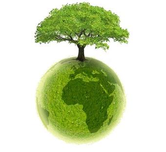 eco.jpg