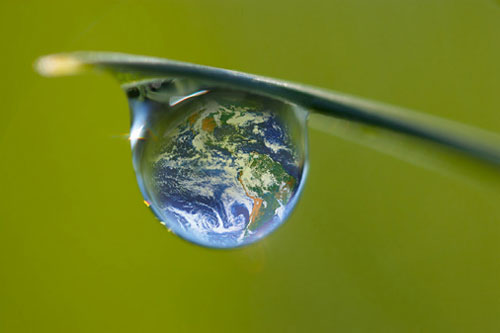 ecologie.jpg