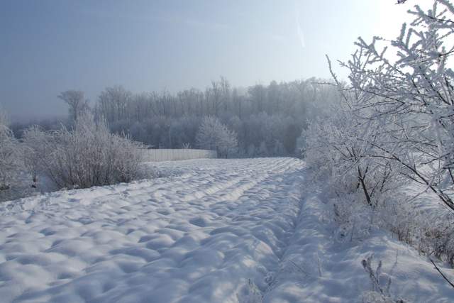 0712230079 [640x480].JPG