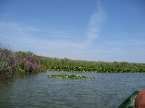 lacul Potcoava....un pic de RAI....