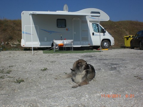 CIMG3868 (Copy) (Copy).JPG